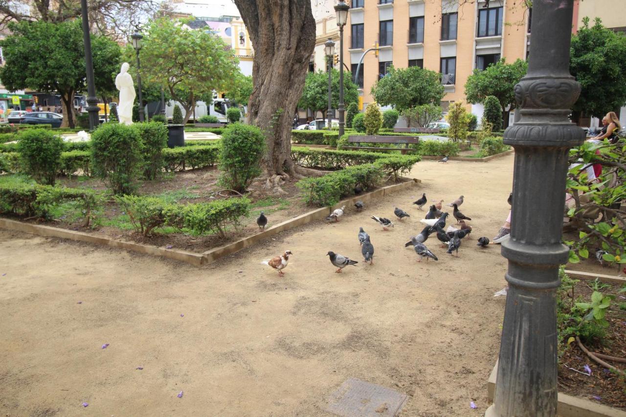 Del Parque Flats Monkey 1 Apartment Malaga Exterior photo